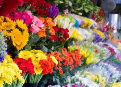 فرار مالیاتی 3000 دلال مجازی گل فروش در تهران