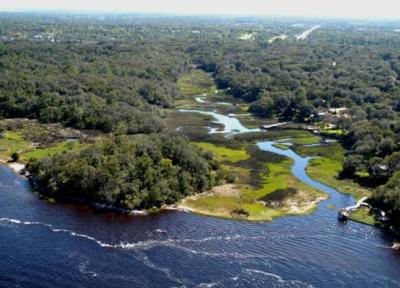 رودخانه سنت جانز، طولانی ترین رودخانه فلوریدا